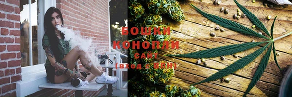 бошки Нягань