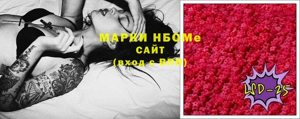 apvp Алзамай