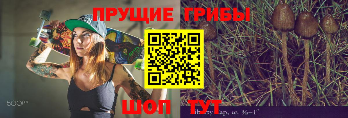 Псилоцибиновые грибы Psilocybine cubensis  Вход с VPN  Саянск  Псилоцибиновые грибы мухоморы 