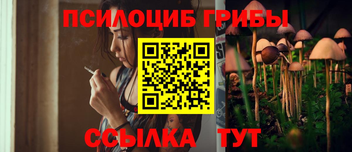 Псилоцибиновые грибы GOLDEN TEACHER Саянск